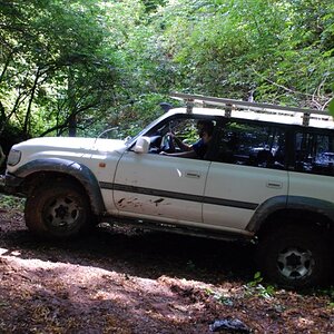 DSC_7198.JPG