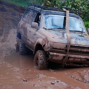 DSC_7382.JPG