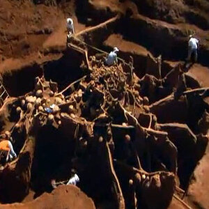 ant-colony-excavated.jpg