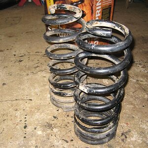 IMG_5724 (Large).JPG