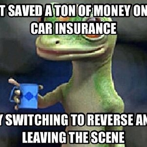 Car Insurance.jpg