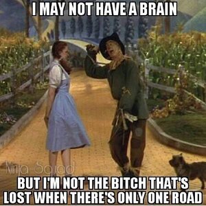 Wizard of Oz.jpg