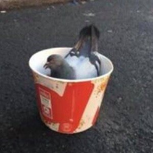 kfc.jpg