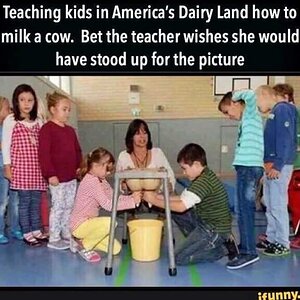 dairy.jpg