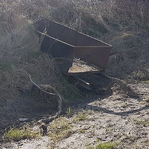 20180326_113051.jpg