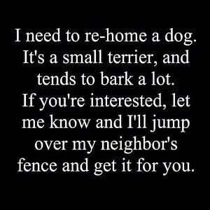 dog.jpg