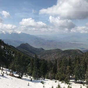 8A014006-11D6-4D87-96F1-9665C33E137D.jpeg