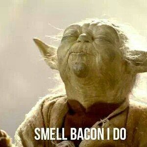 bacon 1.jpg