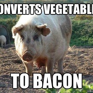 bacon 8.jpg