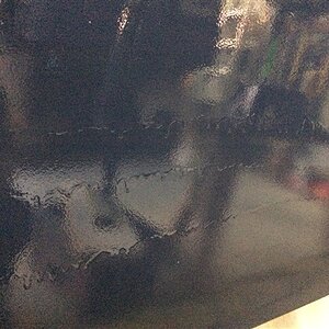 IMG_7929.jpg