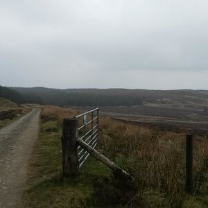 20180422_121952.jpg