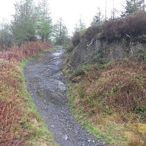 20180422_145307.jpg