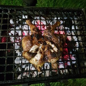 20180427_224842.jpg