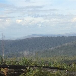 IMG_8209.jpg