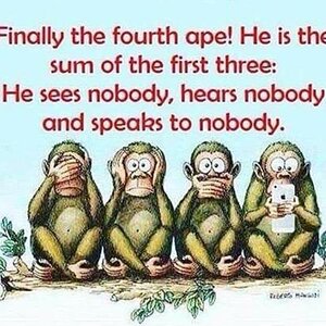 ape.jpg