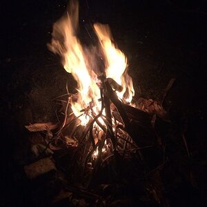 IMG_8402.jpg