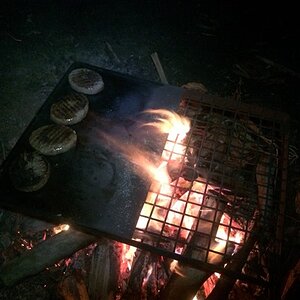 IMG_8403.jpg