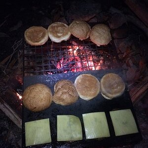 IMG_8404.jpg
