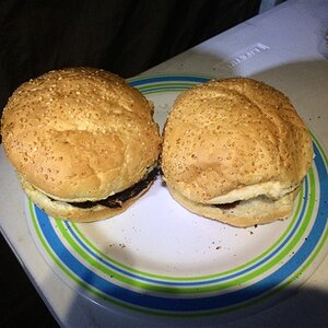 IMG_8405.jpg