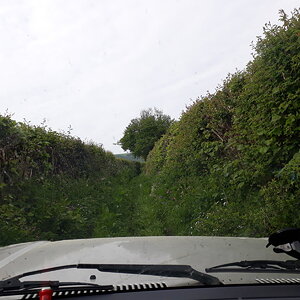 20180520_100733.jpg