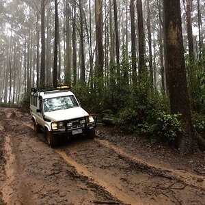 IMG_8765.jpg