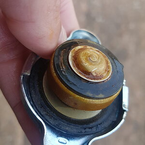 20180606_130856.jpg