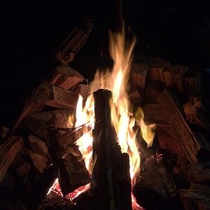 IMG_9264.jpg