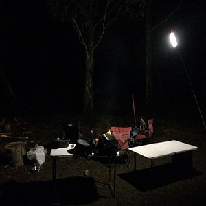 IMG_9465.jpg