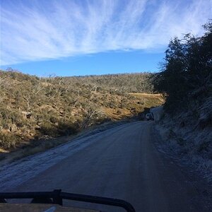 IMG_9484.jpg