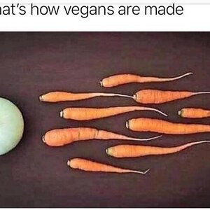 vegan.jpg