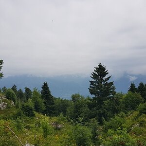 20180703_113252.jpg
