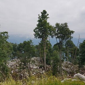 20180703_113344.jpg