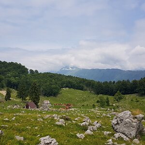 20180703_115546.jpg