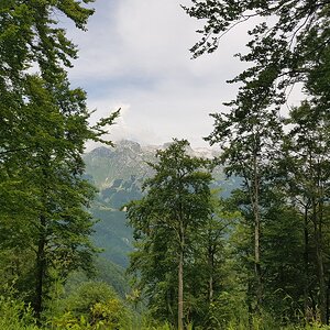 20180704_125129.jpg