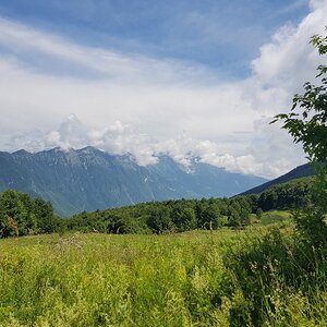 20180704_133046.jpg