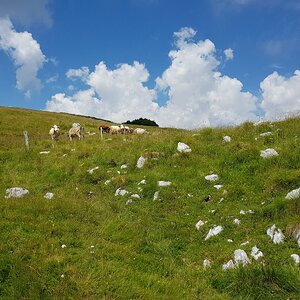 20180704_135536.jpg