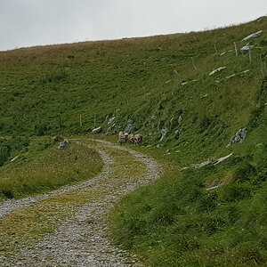 20180704_140215.jpg