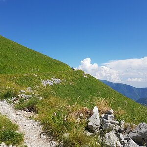 20180704_152723.jpg