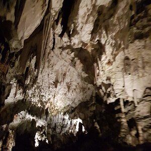 20180705_130330.jpg