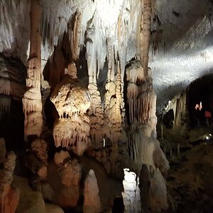 20180705_133239.jpg