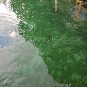 20180706_134959.jpg