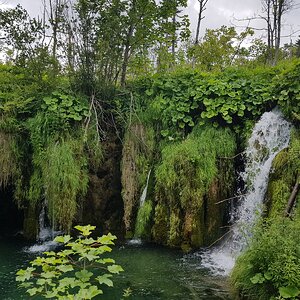 20180706_135414.jpg