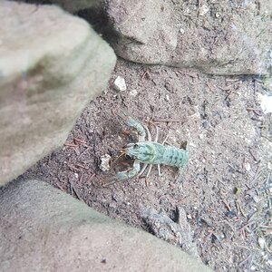 20180706_140547.jpg
