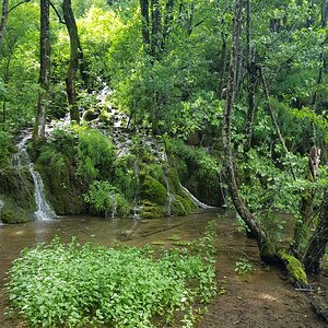 20180706_144433.jpg