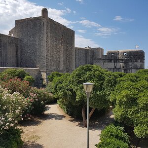 20180708_103431.jpg