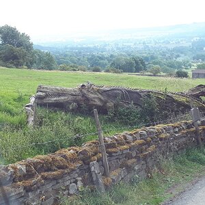 IMG-20180727-WA0009.jpg