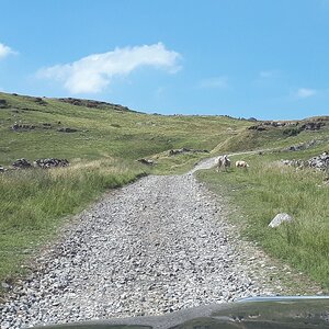 IMG-20180727-WA0005.jpg