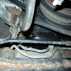 DSCN8318.JPG