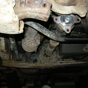DSCN8331.JPG