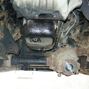 DSCN8345.jpg